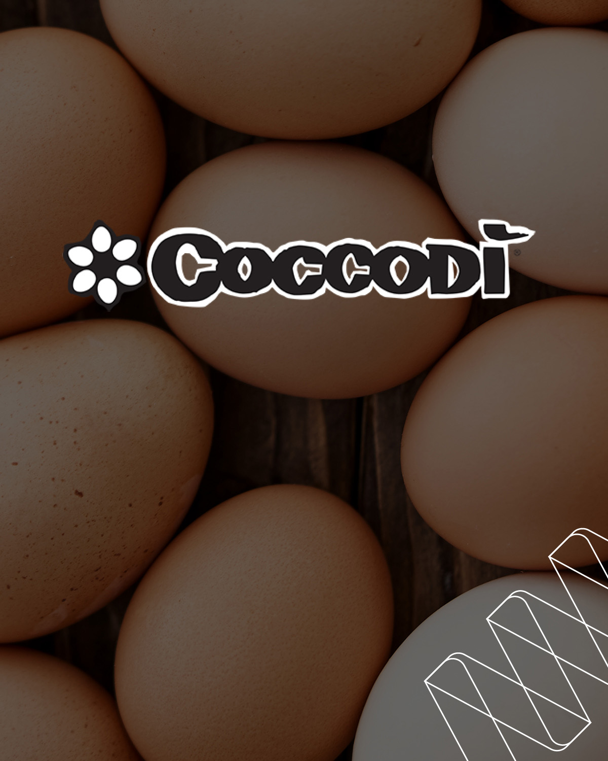 coccodì-produzione-e-distribuzione-uova-card-portfolio